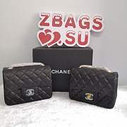 Chanel Chanel 17CM Mini Flap Bag Lambskin Leather With Gold&Silver Hardware  - 1