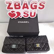 Chanel Chanel 17CM Mini Flap Bag Lambskin Leather With Gold&Silver Hardware  - 5