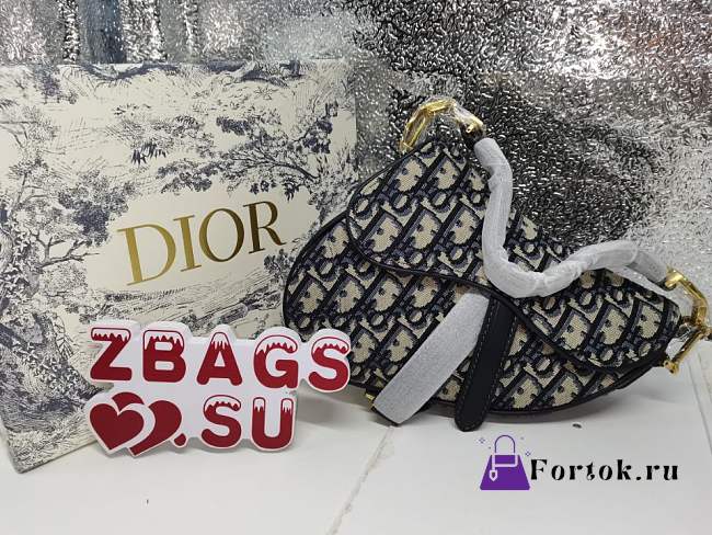 Dior Women Saddle Bag in Blue Canvas small 20cm - 1