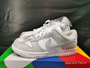 Nike Dunk Low Silver ash killer CU1726-201