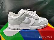 Nike Dunk Low Silver ash killer CU1726-201 - 5