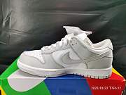 Nike Dunk Low Silver ash killer CU1726-201 - 4