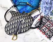 Dior SADDLE BELT BAG 001 - 6