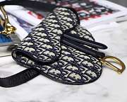 Dior SADDLE BELT BAG 001 - 5