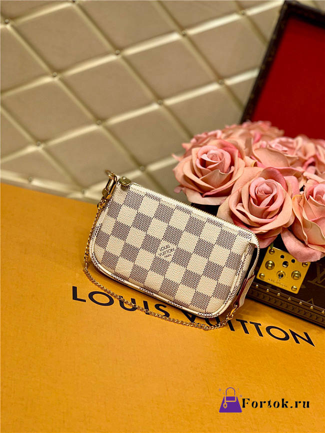 Louis Vuitton mini pochette accessoires bag n58010 15.5cm - 1