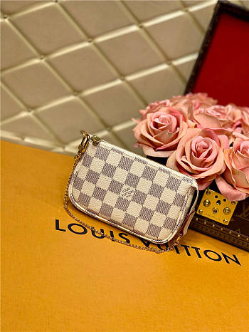 Louis Vuitton mini pochette accessoires bag n58010 15.5cm