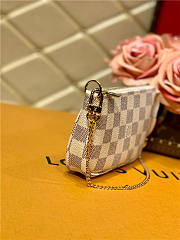 Louis Vuitton mini pochette accessoires bag n58010 15.5cm - 2