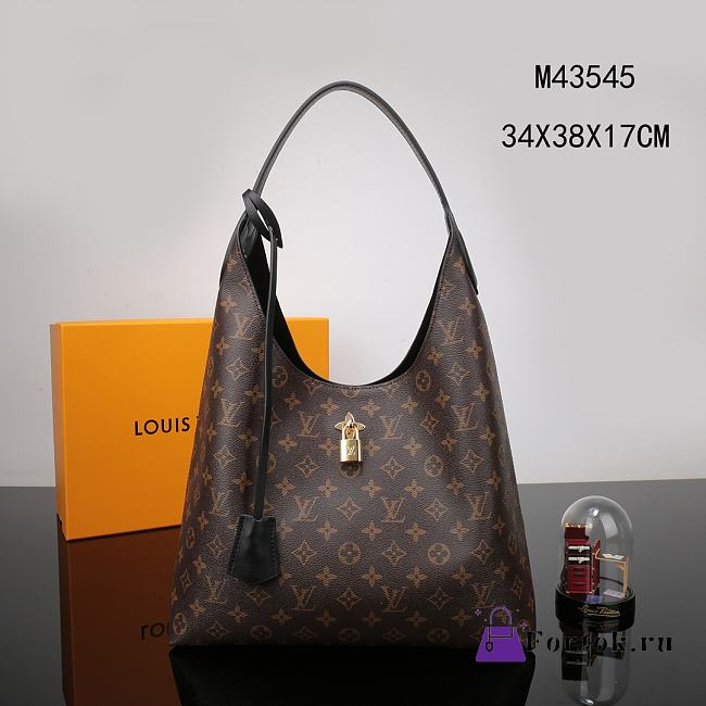 Louis Vuitton HOBO FLEUR Monogram M43545 - 1