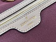 Louis Vuitton NEVERFULL MM M45686 Grey 31cm  - 6