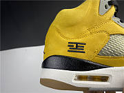 AJ5 Air Jordan Tokyo 454783-701 - 2