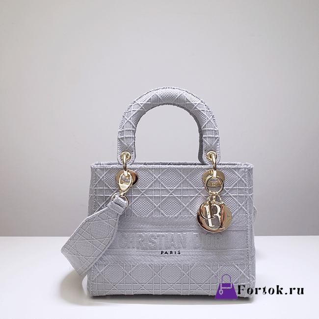 DIOR Medium LADY D'LITE BAG Rock Gray Cannage Embroidery M0565OREY  - 1