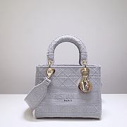 DIOR Medium LADY D'LITE BAG Rock Gray Cannage Embroidery M0565OREY  - 1