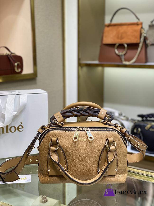 CHLOE Small DARIA BAG in grained & shiny calfskin Cement Brown CHC20US 22x9x18CM  - 1