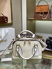 CHLOE Small DARIA BAG in grained & shiny calfskin Eucalyptus CHC20US - 1