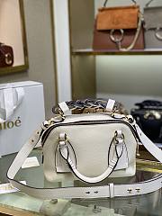 CHLOE Small DARIA BAG in grained & shiny calfskin Eucalyptus CHC20US - 5