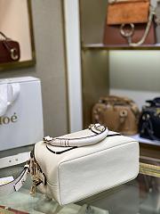 CHLOE Small DARIA BAG in grained & shiny calfskin Eucalyptus CHC20US - 6