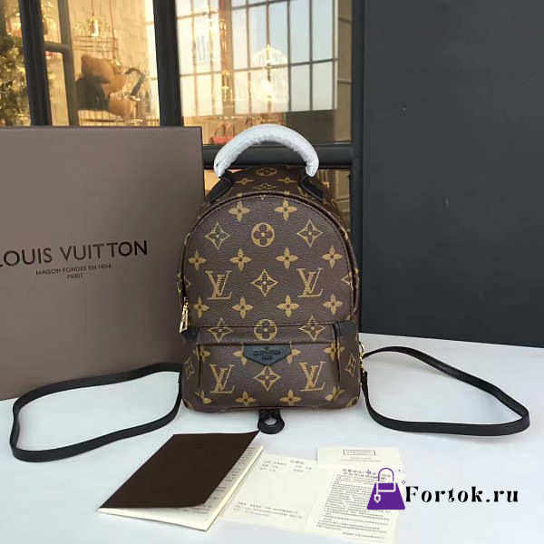 LOUIS VUITTON Palm Springs Mini Backpack Monogram 22cm   - 1