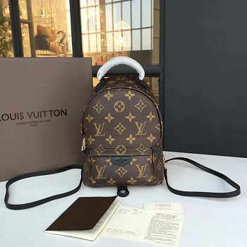 LOUIS VUITTON Palm Springs Mini Backpack Monogram 22cm  