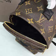 LOUIS VUITTON Palm Springs Mini Backpack Monogram 22cm   - 5