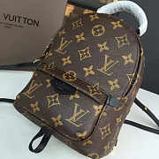 LOUIS VUITTON Palm Springs Mini Backpack Monogram 22cm   - 2