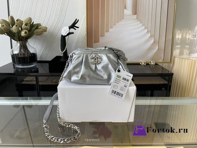 Chanel Cloud Bag Silver Hardware 22cm - 1