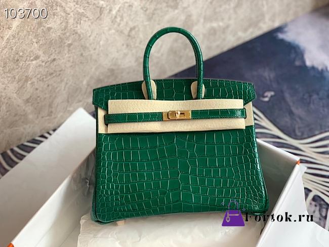 Hermès Platinum Bag Brikin Crocodile Pattern 30002800 30cm - 1