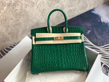 Hermès Platinum Bag Brikin Crocodile Pattern 30002800 30cm