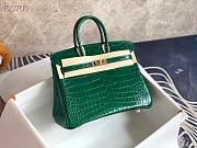 Hermès Platinum Bag Brikin Crocodile Pattern 30002800 30cm - 6