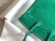 Hermès Platinum Bag Brikin Crocodile Pattern 30002800 30cm - 3