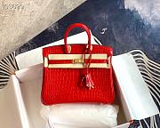 Hermès Platinum Bag Brikin Crocodile Pattern 30002801 30cm - 1