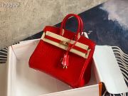 Hermès Platinum Bag Brikin Crocodile Pattern 30002801 30cm - 6