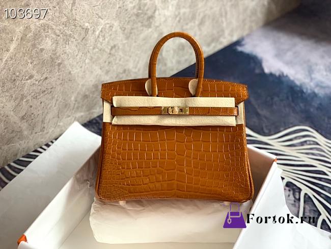 Hermès Platinum Bag Brikin Crocodile Pattern 30002802 30cm - 1