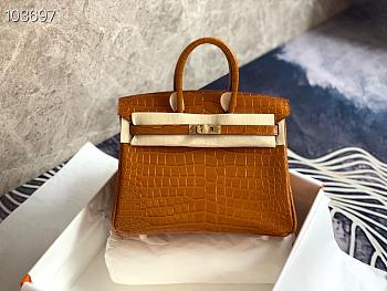 Hermès Platinum Bag Brikin Crocodile Pattern 30002802 30cm