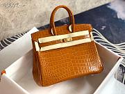 Hermès Platinum Bag Brikin Crocodile Pattern 30002802 30cm - 6