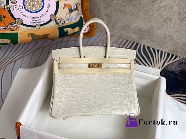 Hermès Platinum Bag Brikin Crocodile Pattern 30002804 30cm - 1