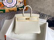 Hermès Platinum Bag Brikin Crocodile Pattern 30002804 30cm - 1