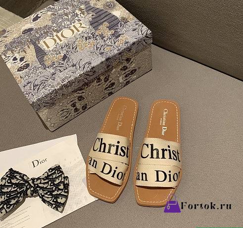 Dior Slide Open Toe 04 - 1