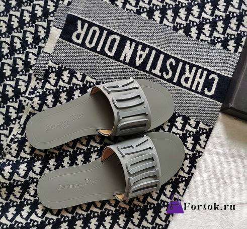 Dior Slide Gray - 1