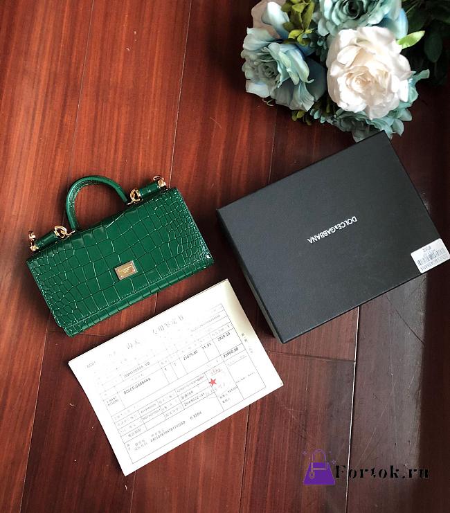 Dolce & Gabbana Crocodile Embossed Chain Bag Green 19cm - 1