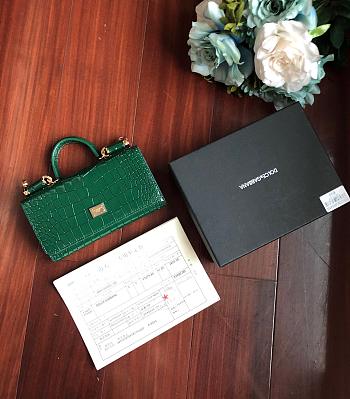 Dolce & Gabbana Crocodile Embossed Chain Bag Green 19cm