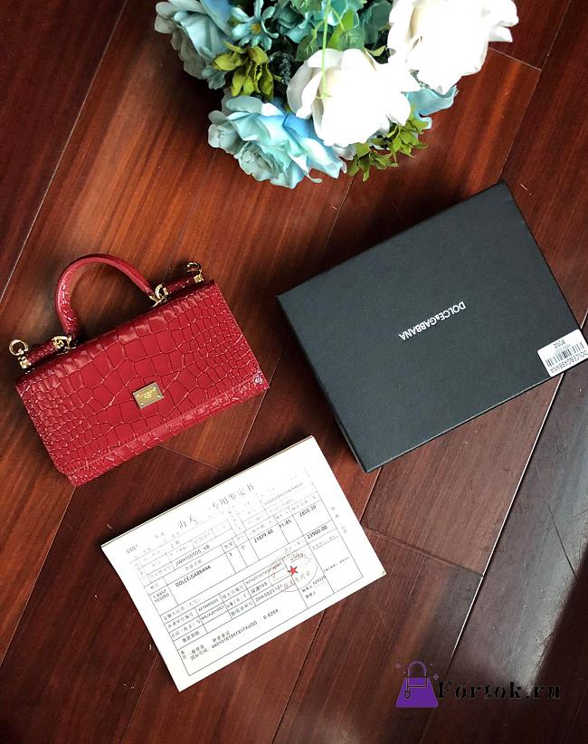 Dolce & Gabbana Crocodile Embossed Chain Bag Red 19cm - 1