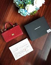 Dolce & Gabbana Crocodile Embossed Chain Bag Red 19cm - 1