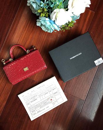 Dolce & Gabbana Crocodile Embossed Chain Bag Red 19cm