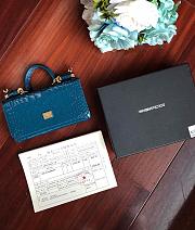 Dolce & Gabbana Crocodile Embossed Chain Bag Navy 19cm - 1
