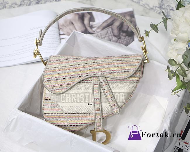 Dior Saddle Oblique Embroidered Stripes M9001 25cm - 1