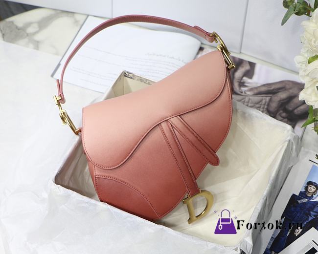 Dior Saddle Gradient Rose Pink M9001 25.5cm - 1