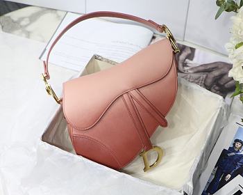 Dior Saddle Gradient Rose Pink M9001 25.5cm