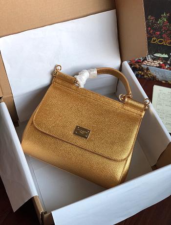 Dolce & Gabbana Sicily Small Leather Gold 25cm