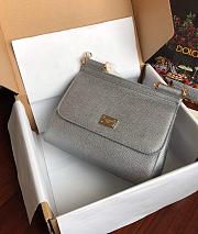 Dolce & Gabbana Sicily Small Leather Silver 25cm - 1