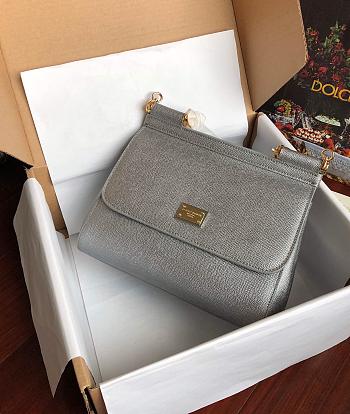 Dolce & Gabbana Sicily Small Leather Silver 25cm